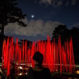 Dale Chihuly's Red Reeds illuminated at night.