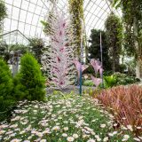 The White Tower with Fiori in the Enid A. Haupt Conservatory