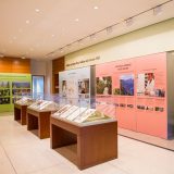 A wide shot of the What in the World is a Herbarium? exhibition, including specimens in glass cases and several panels featuring information about NYBG's science department.