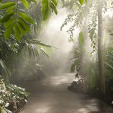 Photo of the Conservatory
