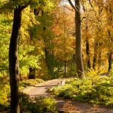 Azalea Garden in the fall.