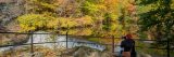 Photo of the Forest in fall