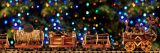 Plant made train in front of christmas lit trees.