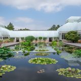 A square shot of the pools in the Conservatory courtyard.