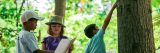 Kids learning about trees in the Everett Children's Adventure Garden.