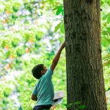 Kids learning about trees in the Everett Children's Adventure Garden.