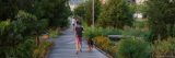 A boy walking a dog through Hudson River Park