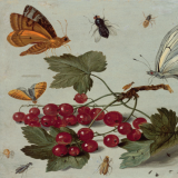 Drawing of a plant with berries and butterflies