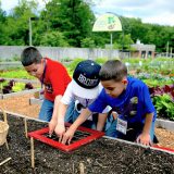 Three young boys digging in dirt at the Edible Academy's garden.