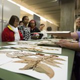 People looking at plants in the Herbarium