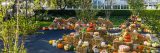 Photo of the great pumpkin path in fall