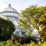 Trees in front of the Conservatory