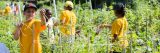 Children working in the Edible Academy's garden.