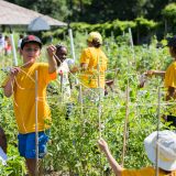 Children working in the Edible Academy's garden.