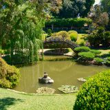 Photo of a Japanese garden