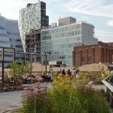 Photo of a people walking on a rooftop space with buildings in the background