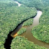 An aerial shot of the Cununuma River in Venezuela
