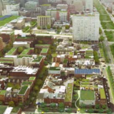 An aerial shot of buildings with rooftop gardens