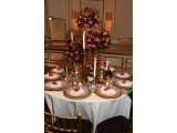 Randall Gibeau Design
