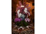 Shelley Johnstone Design