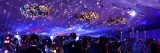 People dancing in a room decorated with flowers and lights at the Winter Wonderland Ball