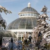 Conservatory in Winter