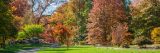 A photo of the Steinhardt Maple Collection in the Fall