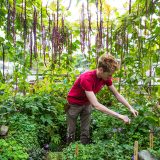 SOPH student working in his plot.