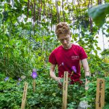 SOPH student working in his plot.