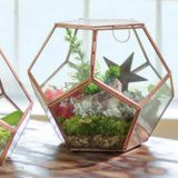 terrarium