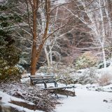 A snowy scene at the Garden during winter.