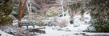 A snowy scene at the Garden during winter.