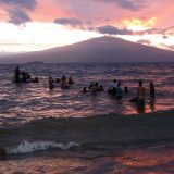 Photo of people swimming in the ocean