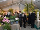 Antique Garden Furniture Fair: Antiques for the Garden and the Garden Room Preview Party & Collectors' Plant Sale