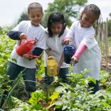 Three children watering plants in the Edible Academy.