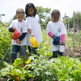 Children watering plants at the Edible Academy