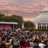 Summer Concert Series