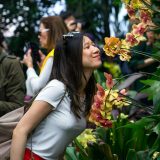 Photo of a woman smelling an orchid