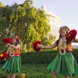 Aloha Nights