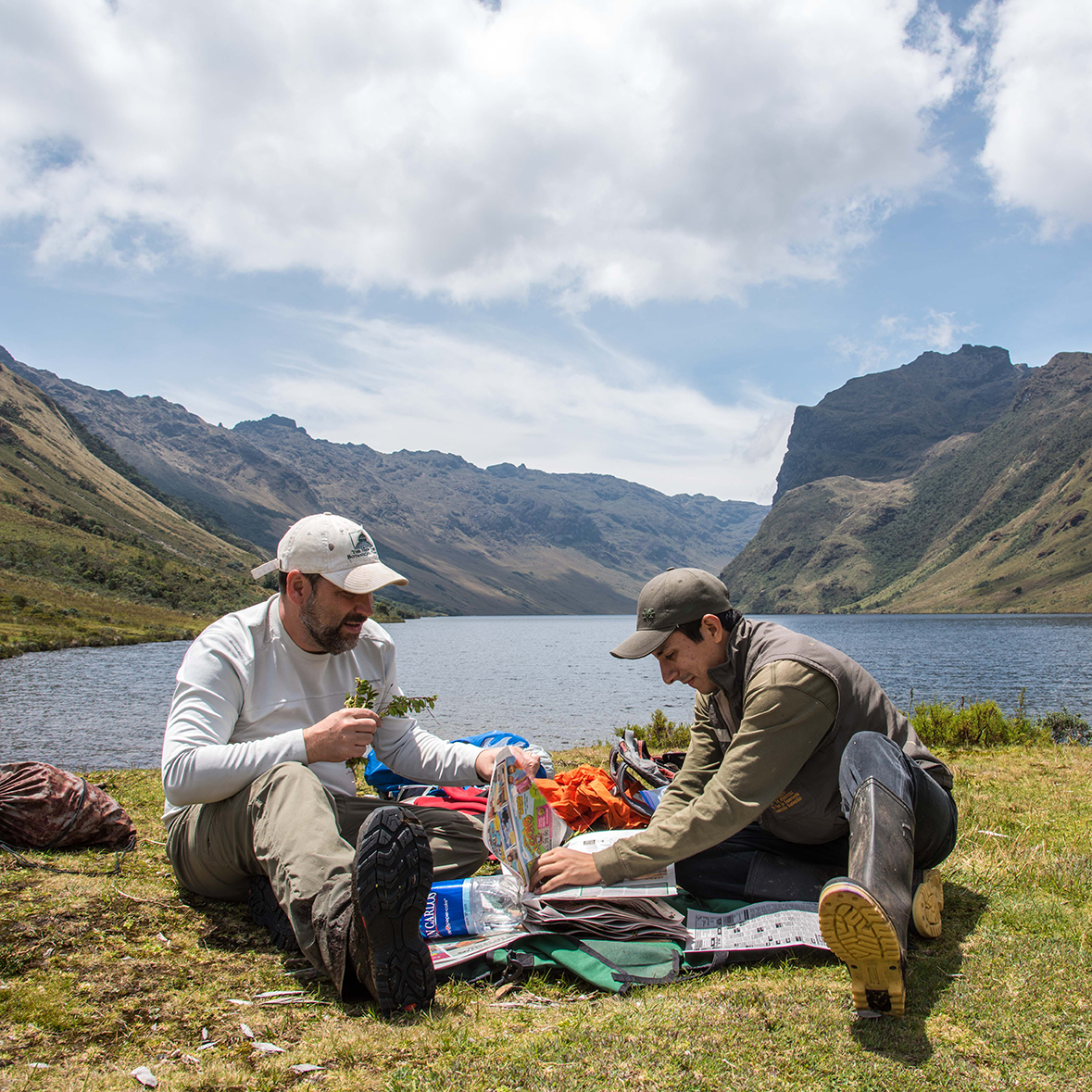 Photo of fieldwork