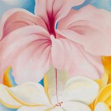 Hibiscus-with-Plumeria