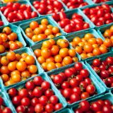 Boxes of yellow and red tomatoes.