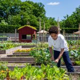 Photo of a kid watering plants at the Edible Academy