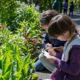 Children studying plants.