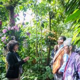 A group tour of the orchid show.