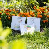 Photo of three books of Wonders of the Garden, NYBG Press