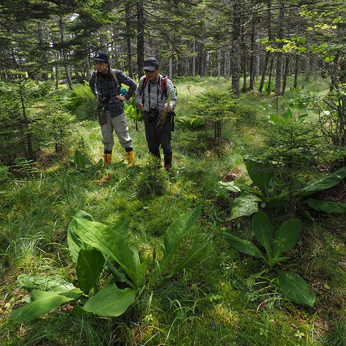 Photo of fieldwork