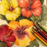 Tropical Hibiscus drawn in watercolor and colored pencil.