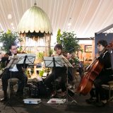 A Quartet playing music