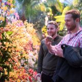 Two men taking pictures of orchids at The Orchid Show.